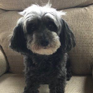 Meet your Posher, Connie